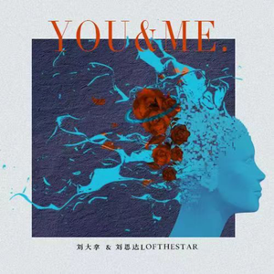 平台投放小蛙导航
