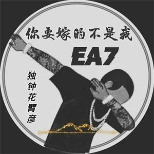 平台投放小蛙导航
